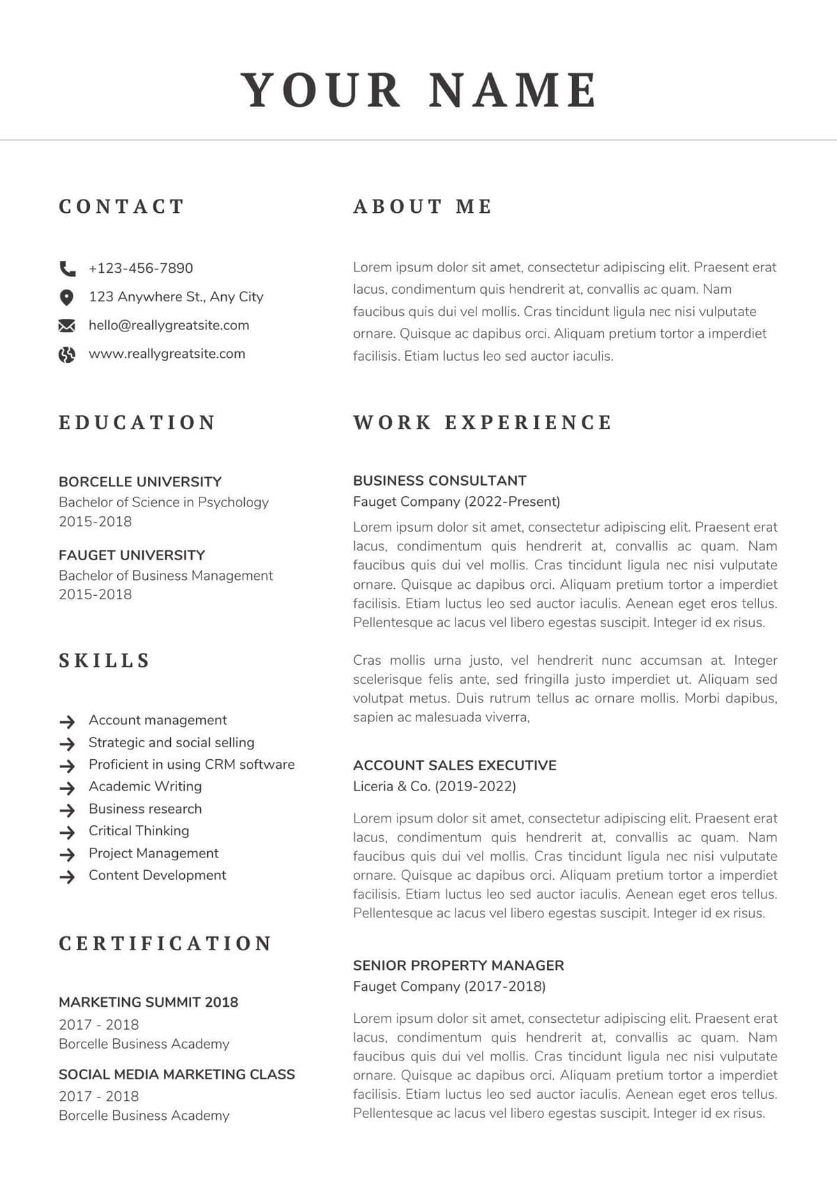 Resume Template Preview